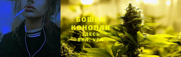 стафф Волоколамск