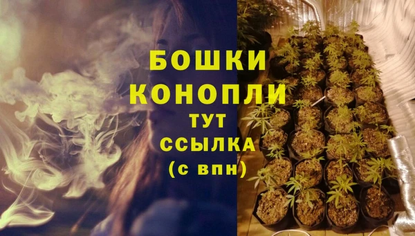 ГАЛЛЮЦИНОГЕННЫЕ ГРИБЫ Рославль