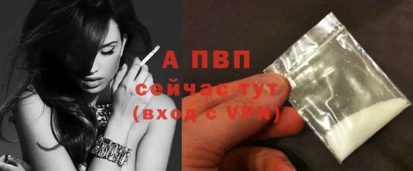 стафф Волоколамск