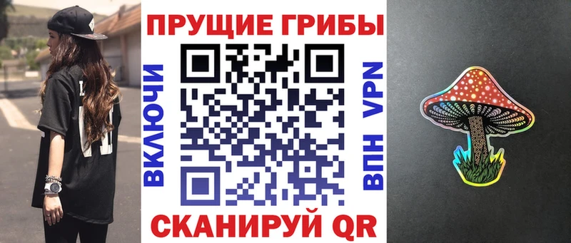 купить   Зарайск  Галлюциногенные грибы мухоморы 